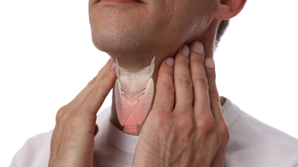 Tiroid Hormonlarının Görevi Nedir?