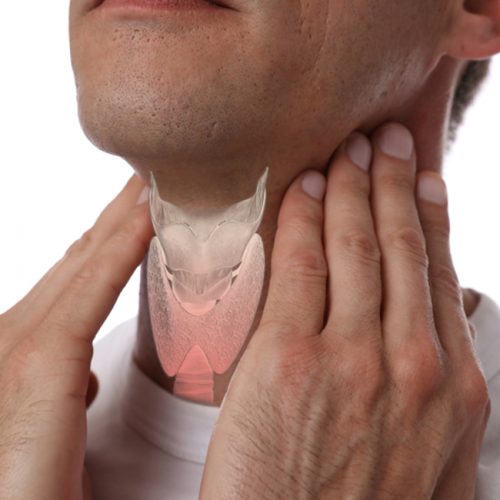 Tiroid Hormonlarının Görevi Nedir?